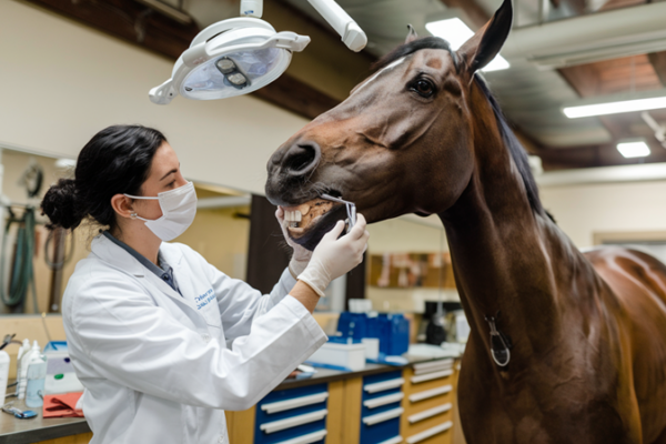 Zonder klanten geen ondernemer