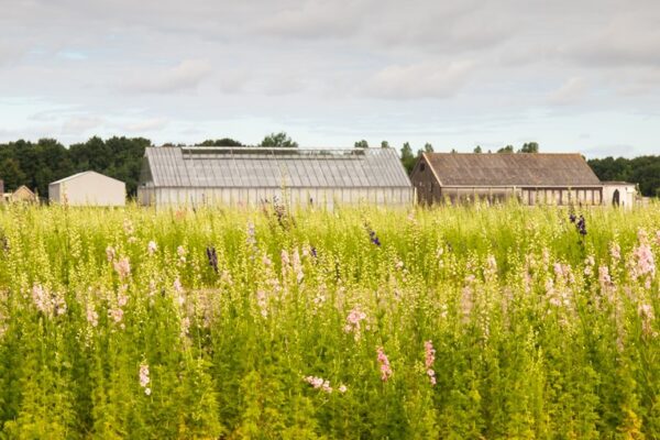 Bestemmingswijziging levert belastbare winst op